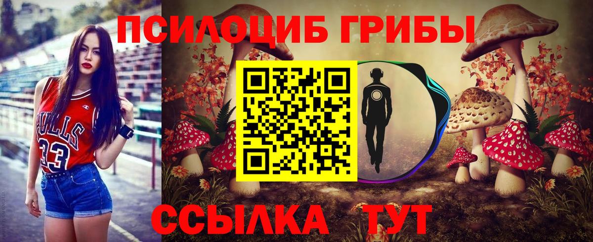 Псилоцибиновые грибы Cubensis Канск